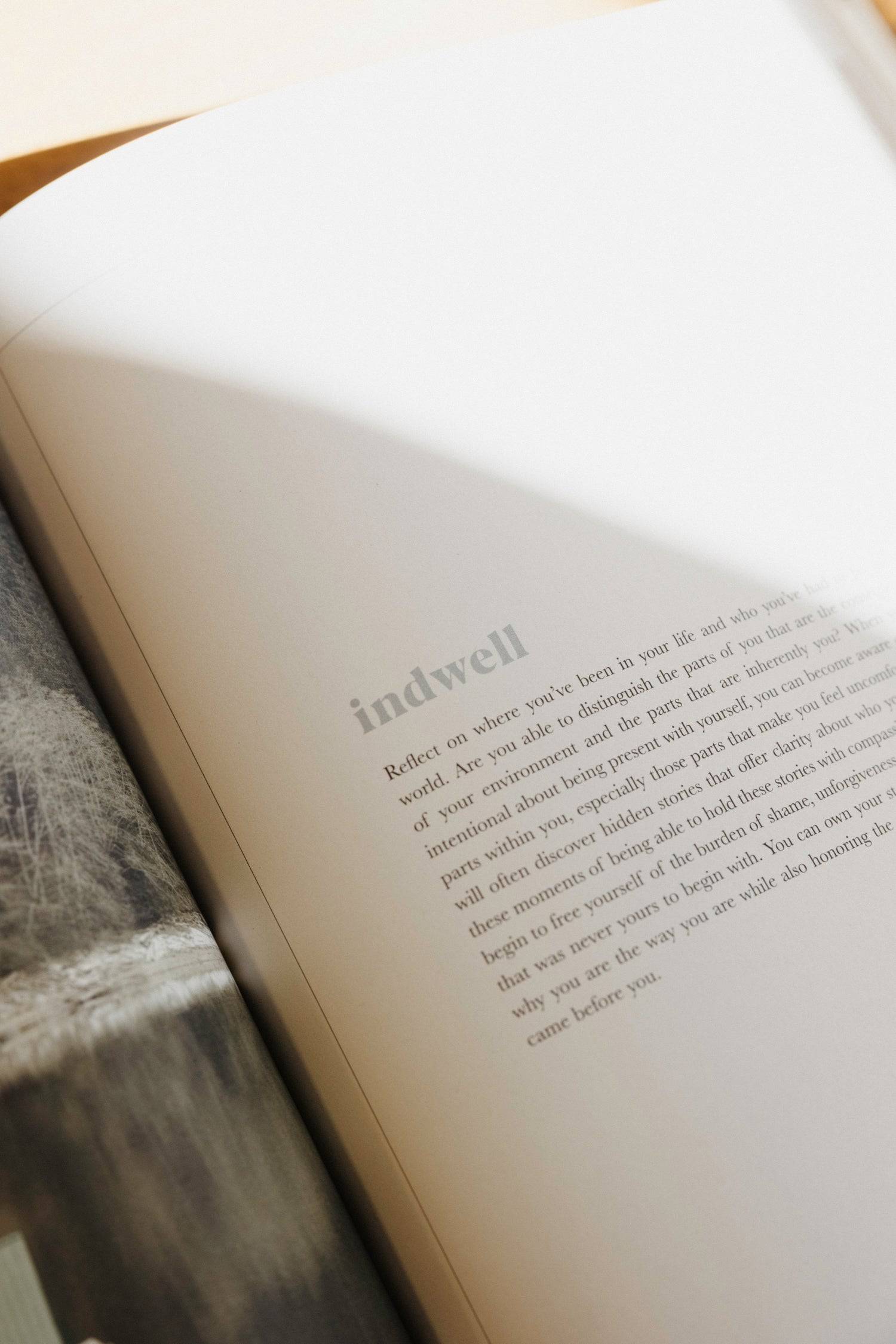 7339336073437, The Indwell Guide, Books, Mod Ref | Common Market, book,cf-vendor-mod-ref-common-market,decor,health,Home,home decor,Home goods,mental,mental health,mental health guide,modrefcommonmarket,new,reading, An 8-step guide to reclaiming your mental health using visual storytelling, education, practical tools you can use. Co-created by a psychotherapist, life coach, and visual artist, this 344-page 8-step guide includes mental health education that helps you understand your mind, body, and emotions,