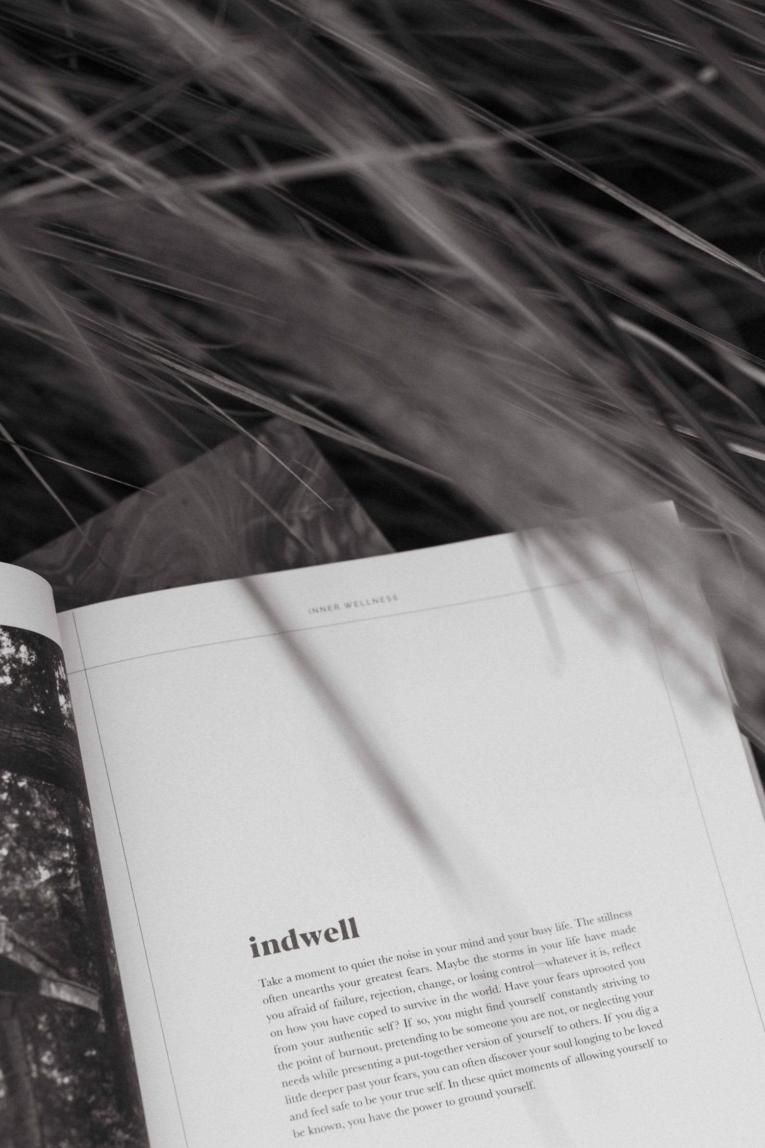 7339336073437, The Indwell Guide, Books, Mod Ref | Common Market, book,cf-vendor-mod-ref-common-market,decor,health,Home,home decor,Home goods,mental,mental health,mental health guide,modrefcommonmarket,new,reading, An 8-step guide to reclaiming your mental health using visual storytelling, education, practical tools you can use. Co-created by a psychotherapist, life coach, and visual artist, this 344-page 8-step guide includes mental health education that helps you understand your mind, body, and emotions,