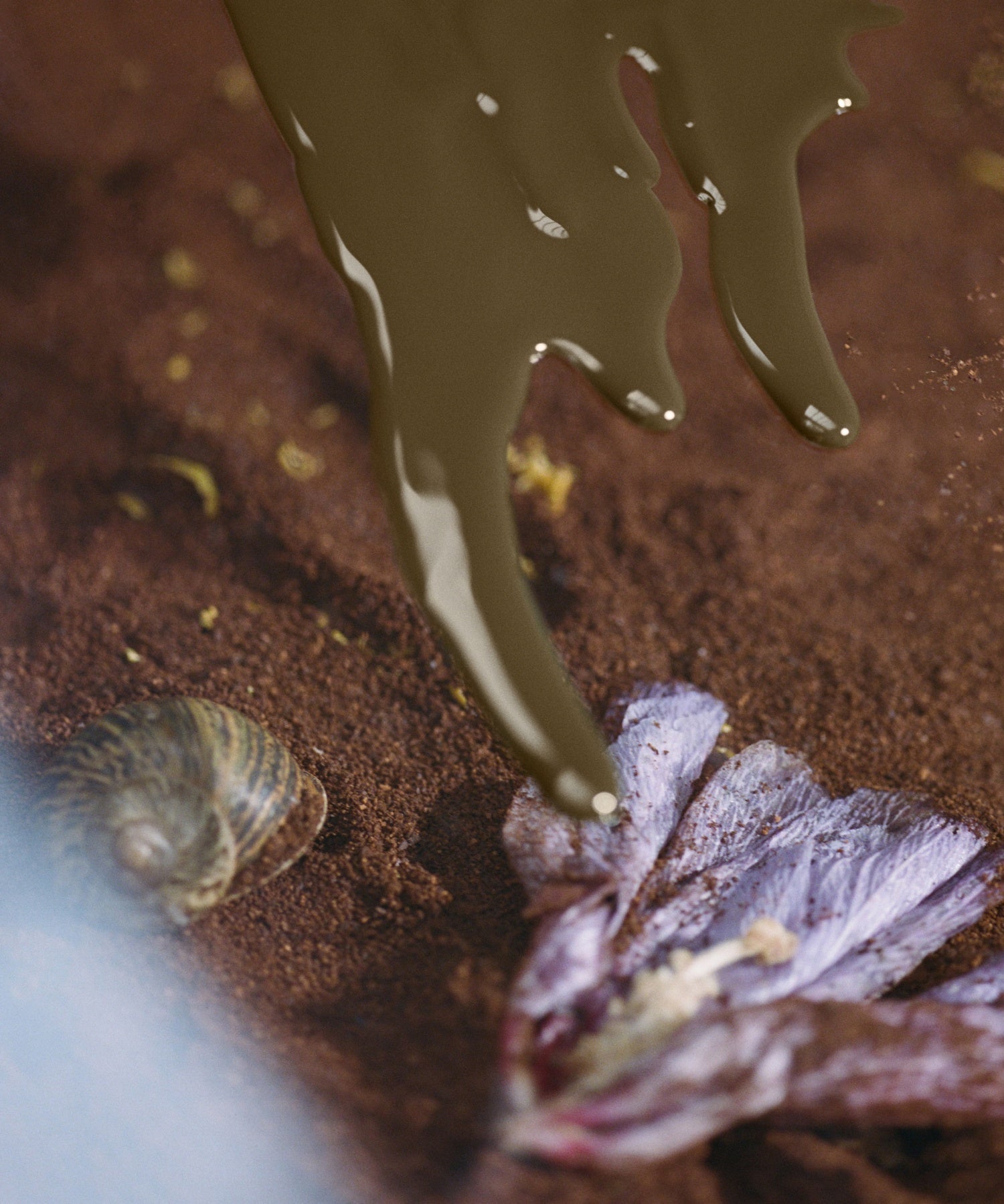 Compost Nail Polish - Mod Ref | Common Market