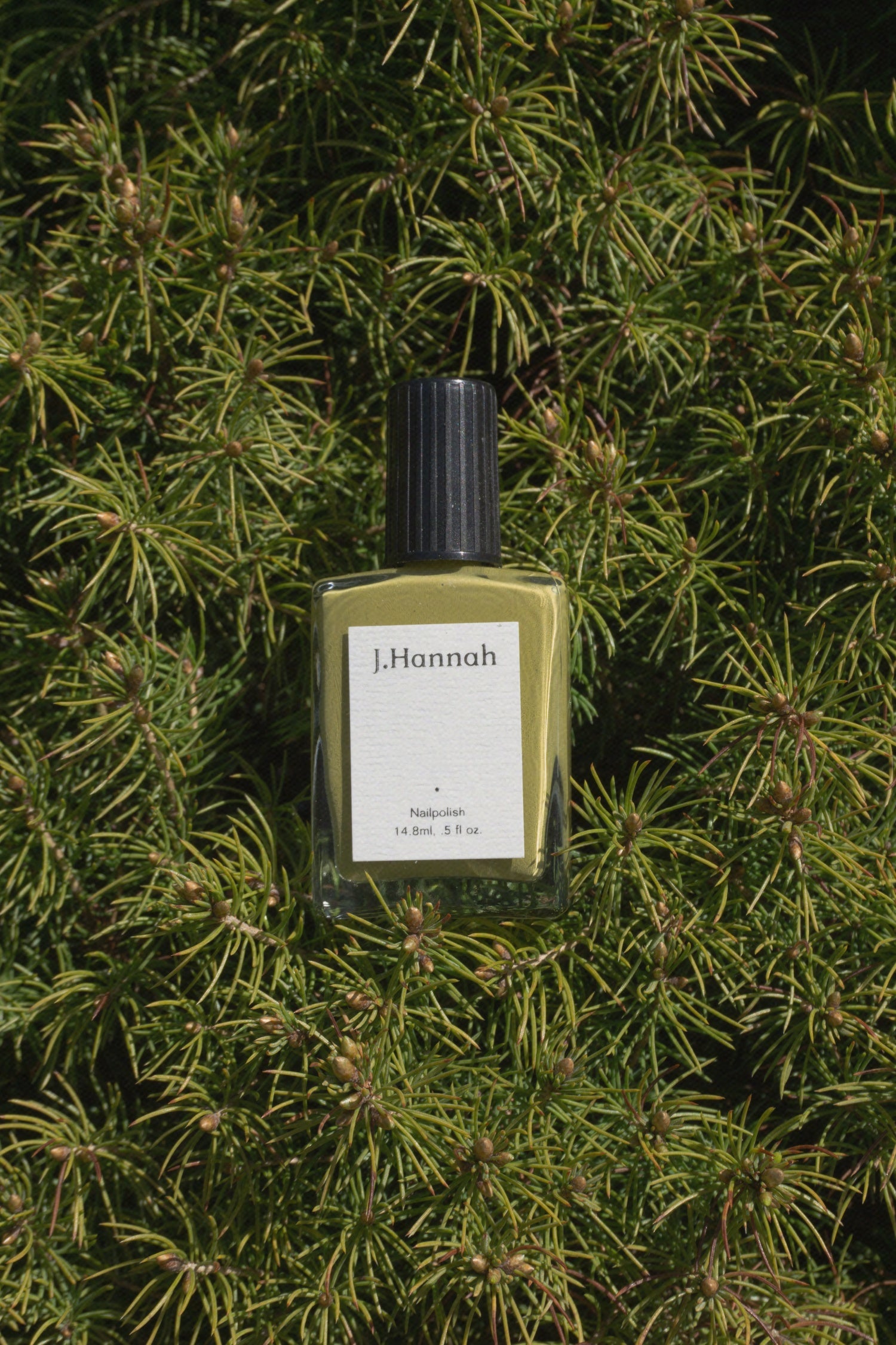 Eames Nail Polish - Mod Ref | Common Market