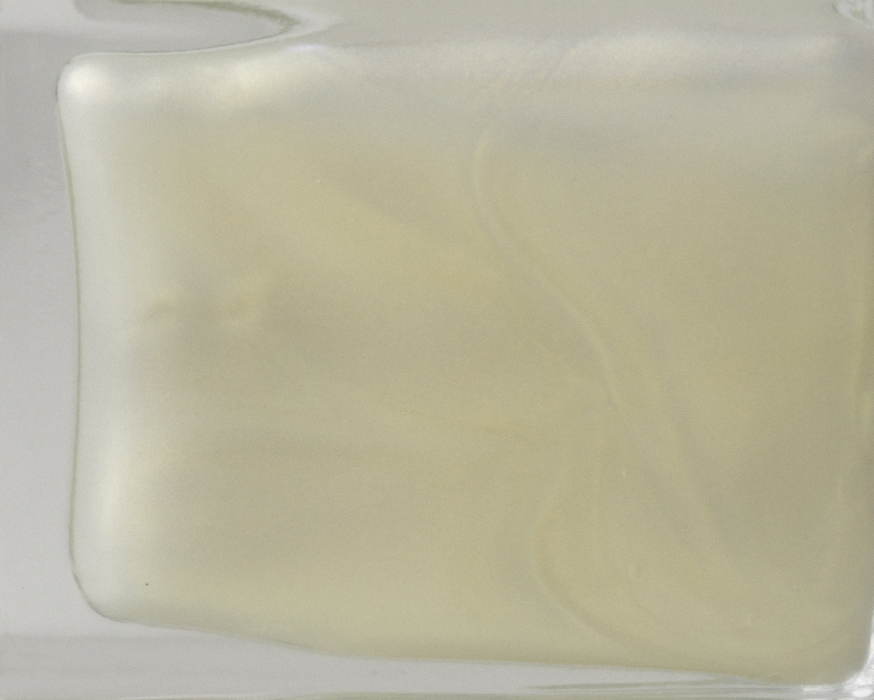Akoya Nail Polish - Mod Ref | Common Market