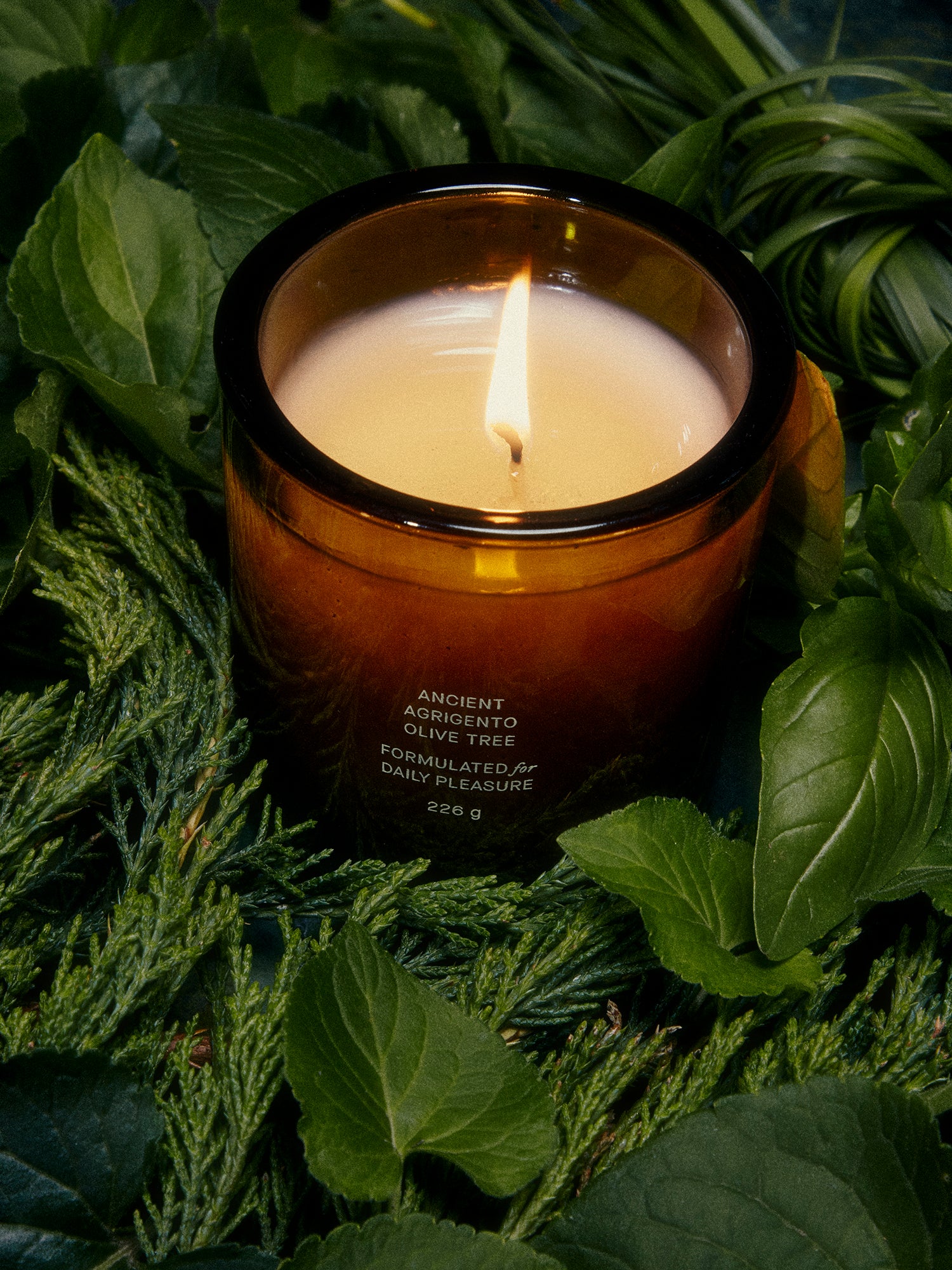 Ancient Agrigento Olive Tree Candle - Mod Ref | Common Market