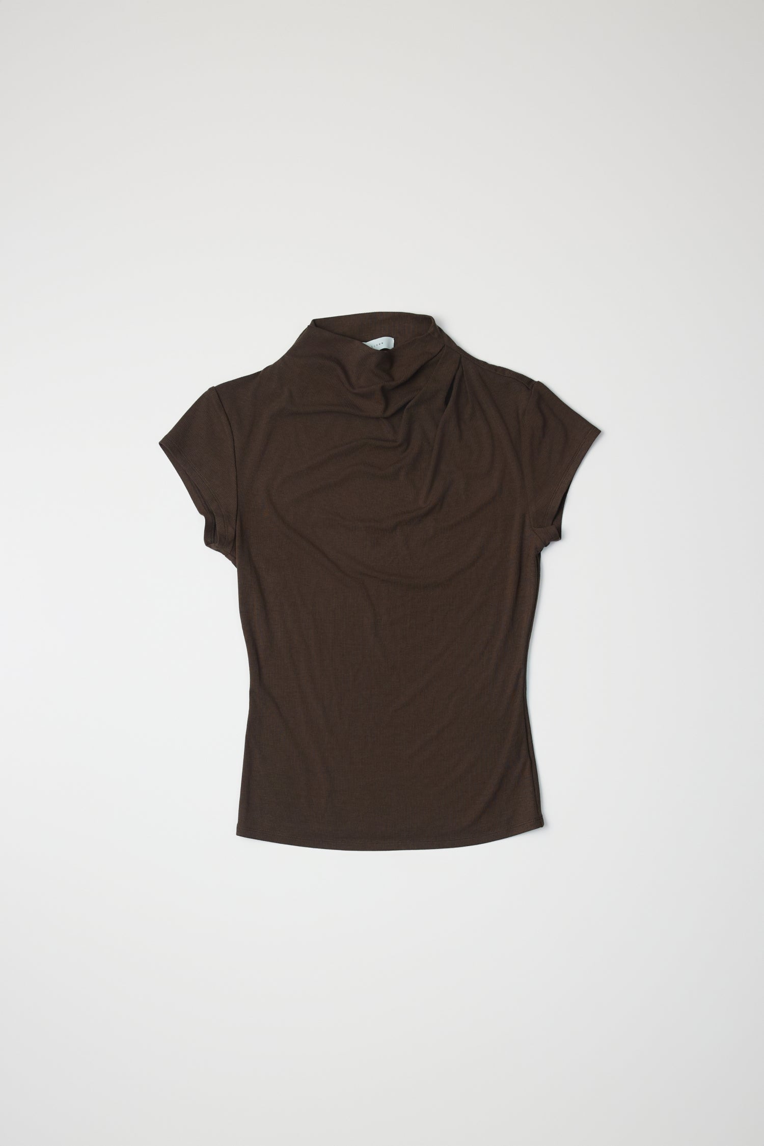 Product image of a brown form fitting rib knit mock neck top, front view.