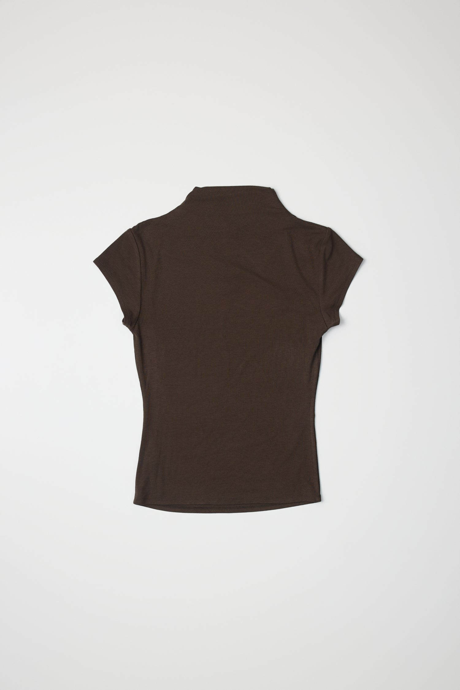Product image of a brown form fitting rib knit mock neck top, back view.