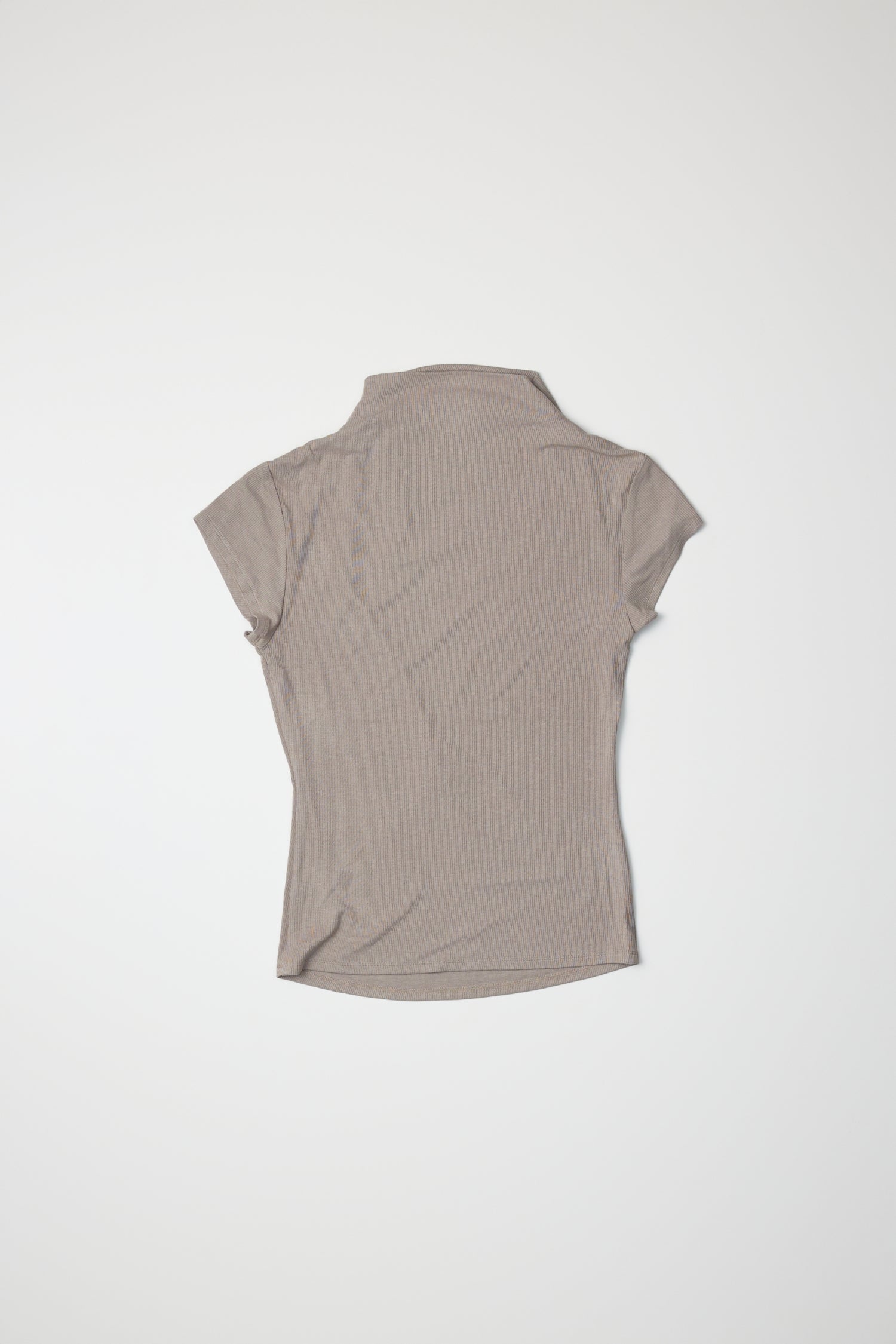 Product image of form fitting taupe rib knit mock neck up, back view. 
