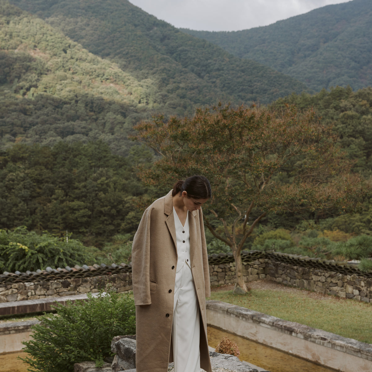 Mod Ref | Common Market