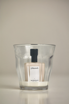 Milk (Glacé Tint) - Mod Ref | Common Market