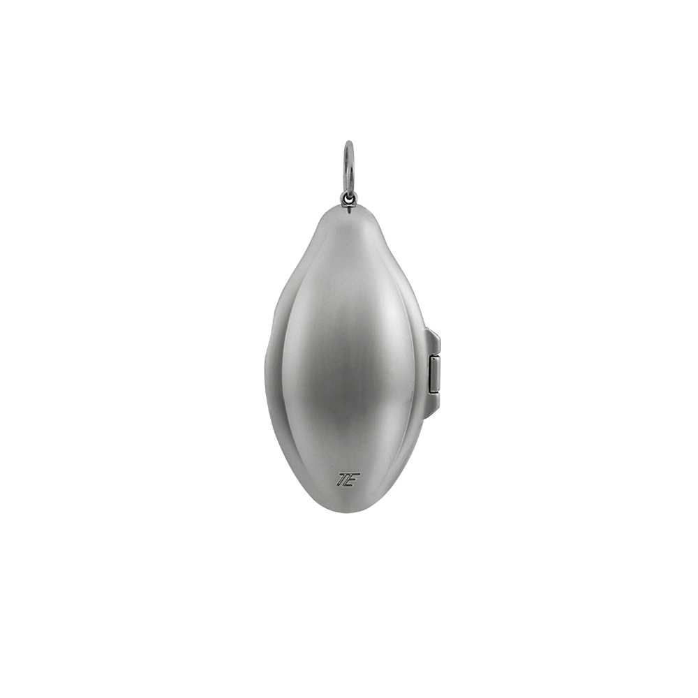 The Seed Case Pendant