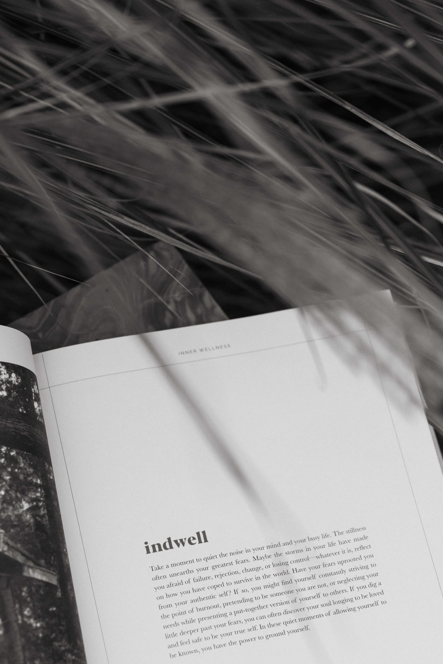 The Indwell Guide - Mod Ref | Common Market